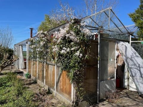 Vrijstaande accommodatie Glamping de Kas InN House in South Holland (province)