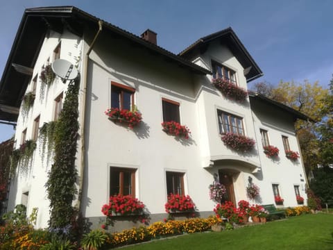 Property building, Summer