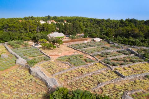Natural landscape, Bird's eye view, Garden view