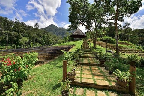 Natural landscape
