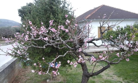 Apartment Nada Apartment in Šibenik-Knin County, Croatia