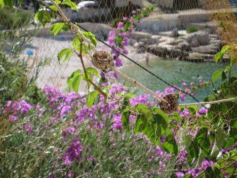 Natural landscape, Beach
