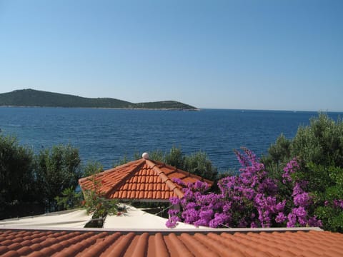 Garden view, Sea view
