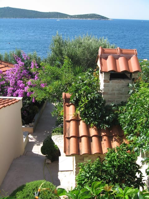 Natural landscape, BBQ facilities