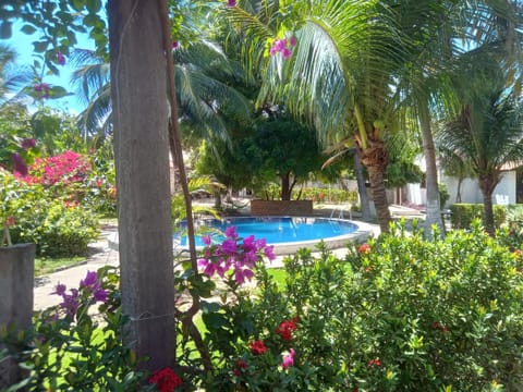 Pool view