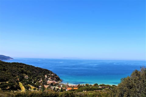 Spring, Neighbourhood, Natural landscape, Beach, On site