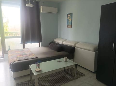 Central Studio Maritsa Apartment in Plovdiv