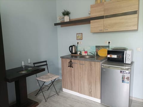 Central Studio Maritsa Apartment in Plovdiv