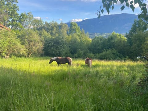 FeWo Marielle Apartment in Carinthia, Austria