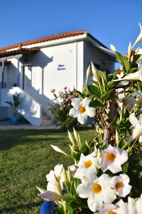 Blue Houses Apartments Apartment in Messenia