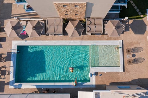 Day, Bird's eye view, Pool view, Swimming pool, sunbed