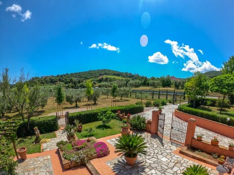 Bird's eye view, Garden view