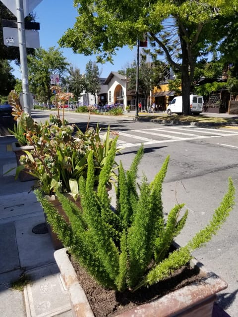 SenS Hotel & Vanne Bistro Berkeley Hotel in Berkeley