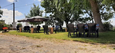 Day, Garden, Balcony/Terrace, Garden view