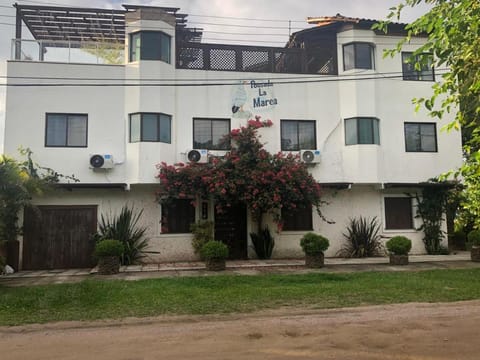 Property building, Garden, Garden view