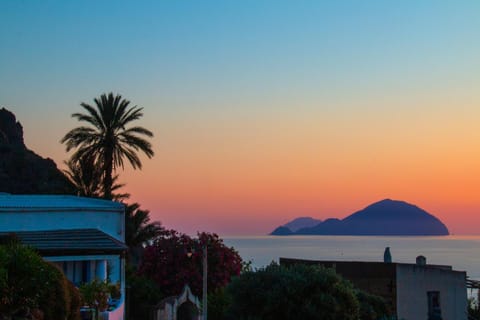 Garden, Sea view, Sunset