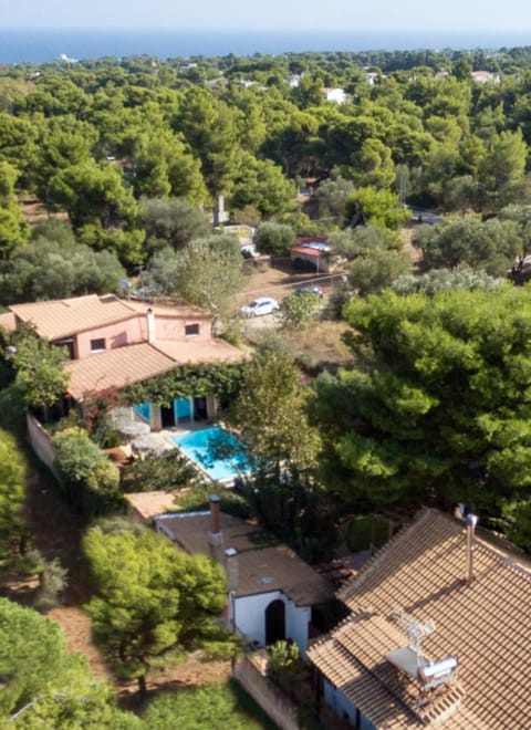 Property building, Natural landscape, Bird's eye view, Swimming pool