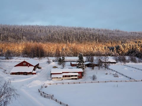 Property building, Winter
