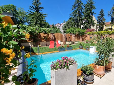 Garden, Swimming pool
