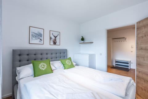 Appartement Ski & Bike Apartment in Saalbach-Hinterglemm