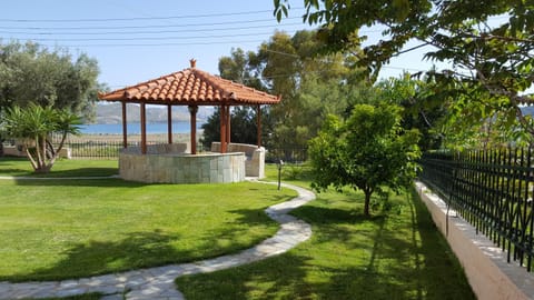 Summer, On site
