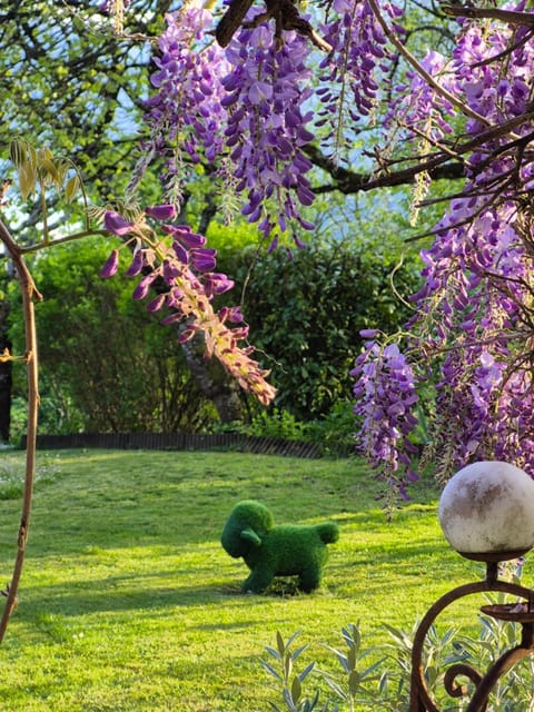 Garden, Garden
