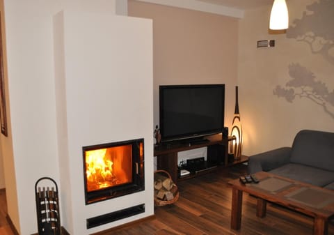TV and multimedia, Coffee/tea facilities, Balcony/Terrace, Kitchen or kitchenette, Living room, Photo of the whole room