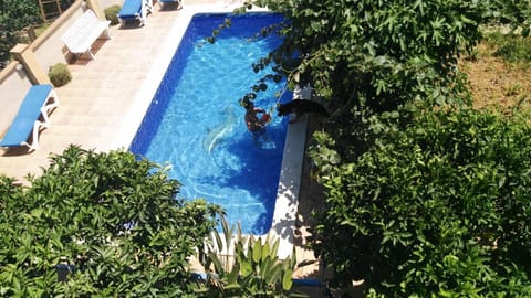 Decorative detail, Garden view
