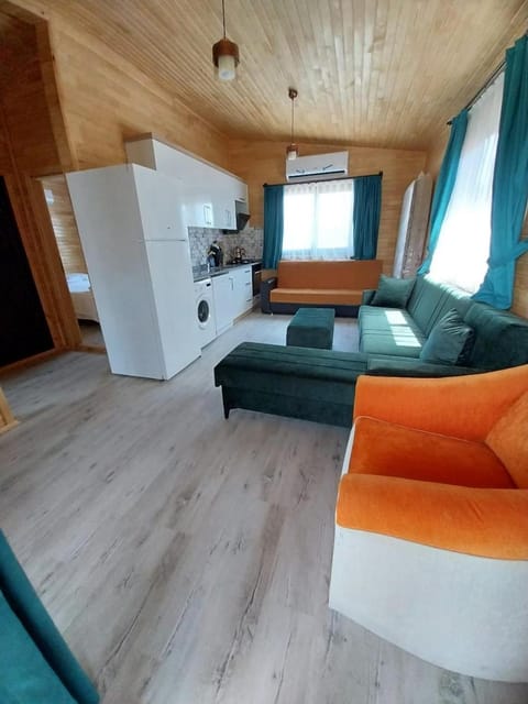Bed, Living room, Photo of the whole room, Seating area, oven