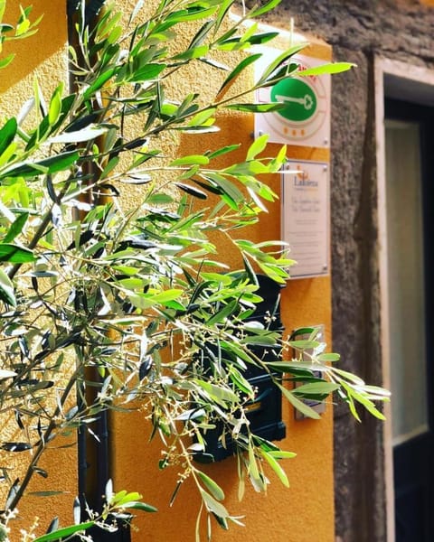 La Polena Camere Vernazza - Suite vista mare Bed and Breakfast in Vernazza