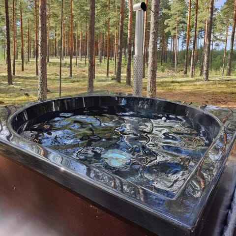 Villa Alex Villa in Finland