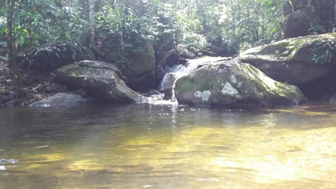 Fazenda Tapinuã Farm Stay in State of Rio de Janeiro