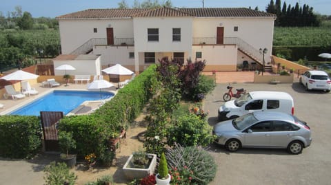 Garden, Swimming pool, Swimming pool