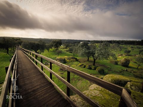 Natural landscape