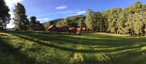 Property building, Facade/entrance, Natural landscape, View (from property/room), internet, internet
