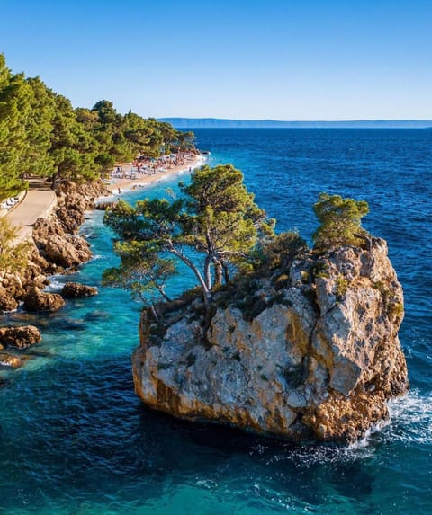 Apartmans Lale Apartment in Brela