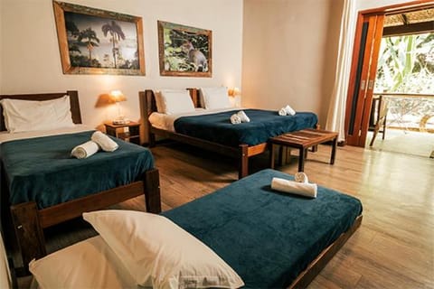 Banana Bamboo Ecolodge Nature lodge in State of Rio de Janeiro