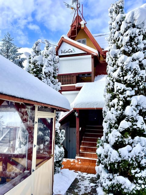 Property building, Winter