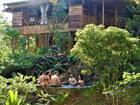 People, Garden, Swimming pool, Entertainment