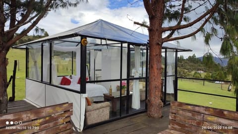 Patio, Balcony/Terrace