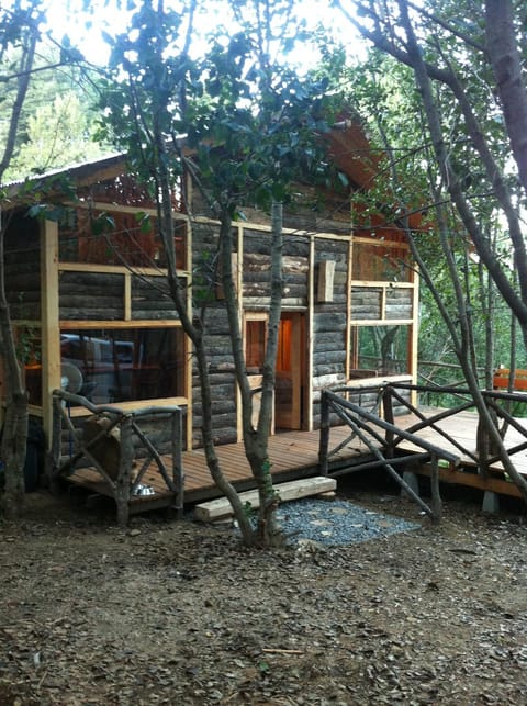 Patio, Facade/entrance, Garden