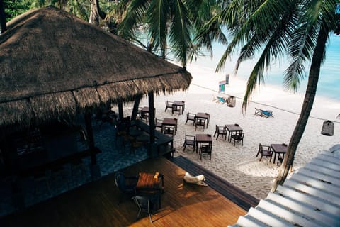 Restaurant/places to eat, Day, Bird's eye view, Balcony/Terrace, Beach, Beach, On site, Sea view