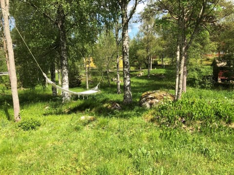 Natural landscape, Garden