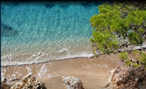 Apartmani Zaninović Apartment in Dubrovnik-Neretva County