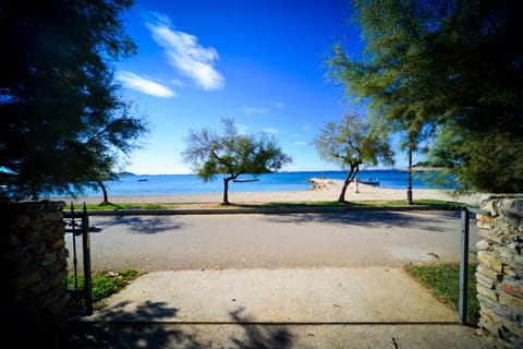Natural landscape, Beach, Sea view, Street view