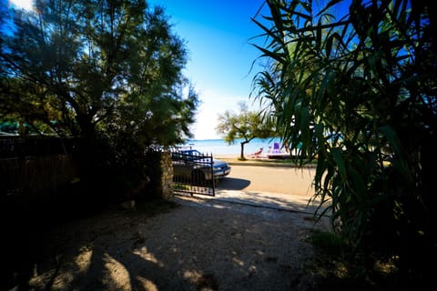 Natural landscape, Beach, Beach