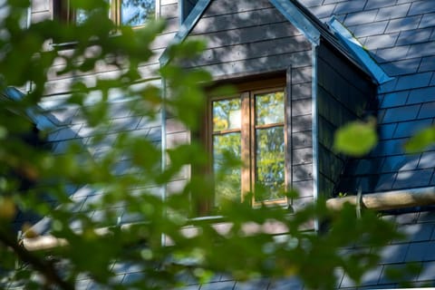 Property building, Day, Garden