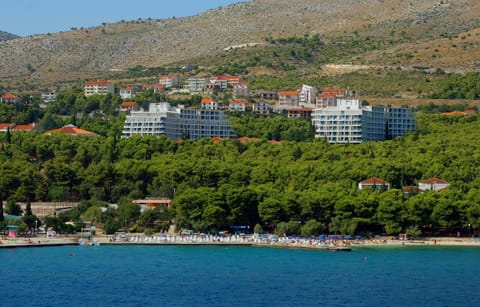 Neighbourhood, Natural landscape, Bird's eye view, Beach