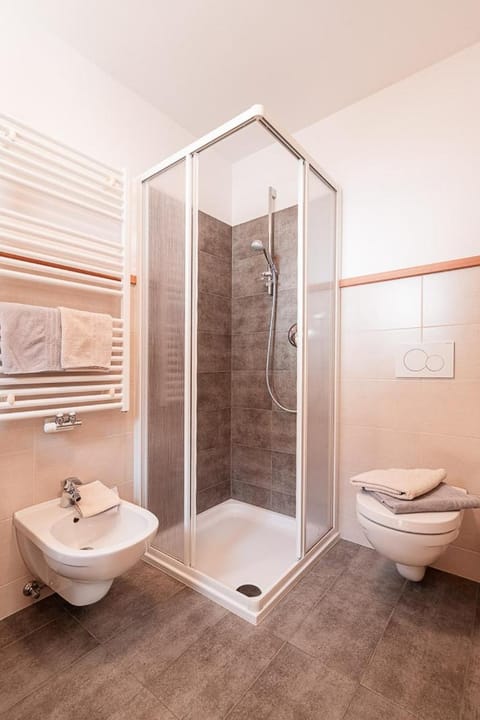 Shower, Toilet, bidet, towels