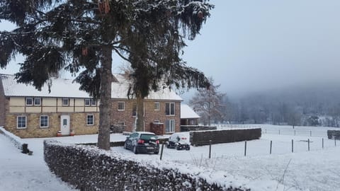 Property building, Natural landscape, Winter